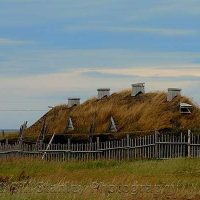 Viking Settlement /L’Anse Aux Meadows